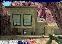 Little Counter Strike