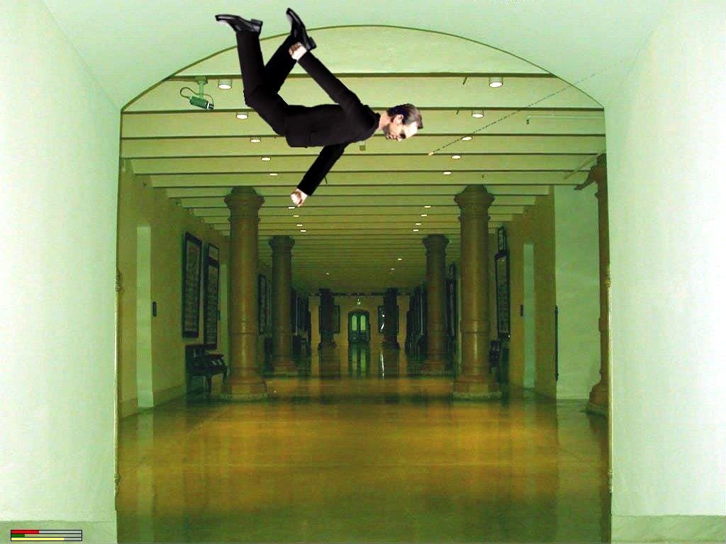 Ragdoll Matrix Reloaded