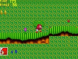 Sonic the Hedgehog Adventure 3